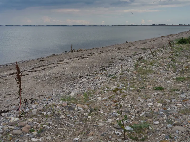 Halshuisene + Enebaerodde Beach (Denemarken)